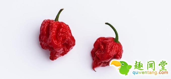 不知天高地厚，辣椒能有多辣？美女挑战世界最辣辣椒，结果悲催