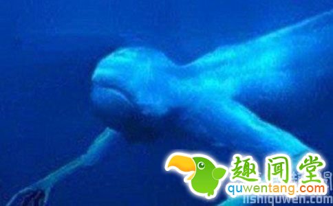 南极30米高人造人,是神秘外星人?