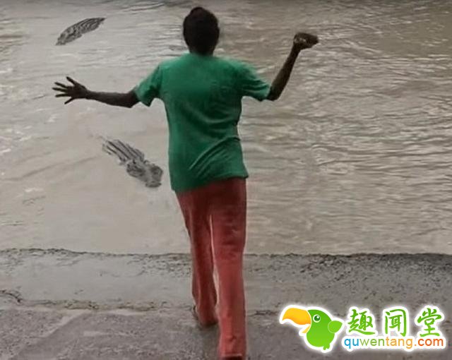 彪悍女子抄起拖鞋暴打鳄鱼 女汉子洪荒之力鳄鱼也害怕