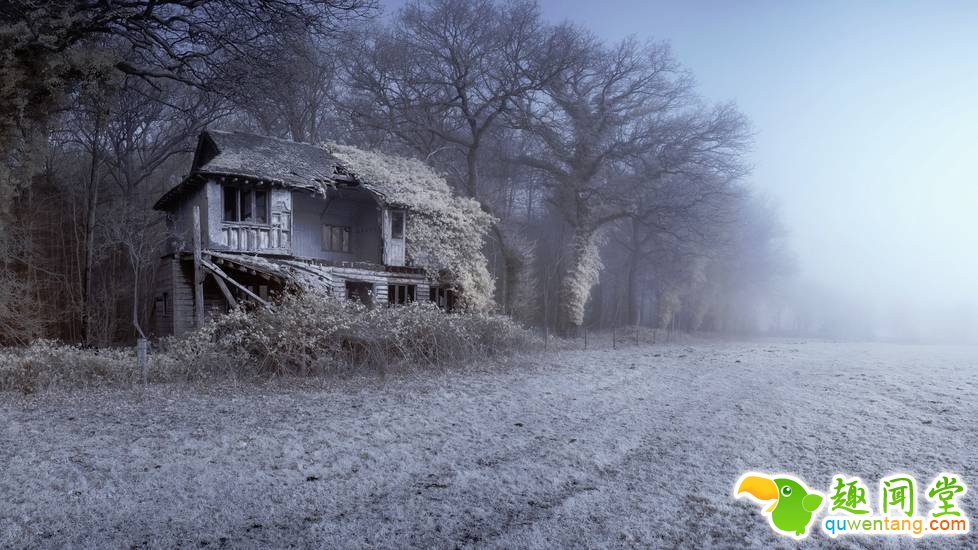 被人类遗弃后，大自然重新接管了这里！