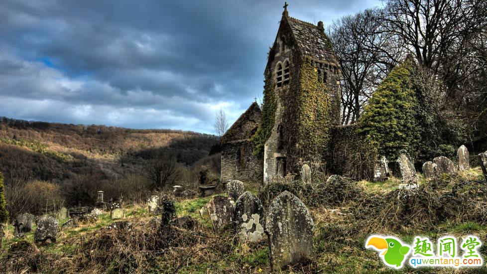 被人类遗弃后，大自然重新接管了这里！