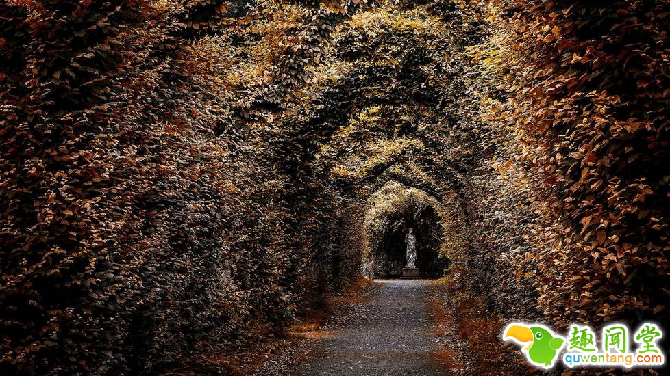 被人类遗弃后，大自然重新接管了这里！