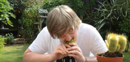 男子直播吃仙人掌，脑子被刺坏了？