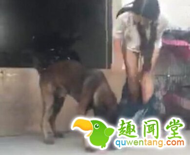 脸红一幕！女子跟狗玩 裙子却被它扒下