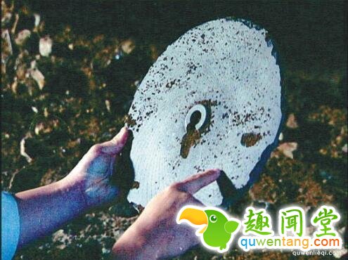 盘点中国10大UFO事件 至今仍是未解之谜  要说这个世界上没有外星人，恐怕很多人都不会相信，特别是对于那些UFO爱好者来说，不管是中国还是国外，在很多古代文献上都对UFO有很多记载，但是它们都存在着极大的不确定性，正因为如此，长期以来这类事件就会引起很多人的关注。  1、凤凰山外星接触事件  1994年5月~6月，黑龙江五常县凤凰山一位名叫孟照国的普通村民多次与外星人接触。外星人先后电击孟照国，对他进行采种，甚至穿墙而来带他参观飞碟基地。该事件报道后，引起了全世界的关注。原中国UFO研究会专家委员会和学术委员会己于1997年8月23日作出了初步的结论，认为这次UFO的事件是真实的。  2、UFO都溪毁林事件  1994年12月1日凌晨三时，火球状的不明飞行物骤至都溪林场，其巨大的声响惊醒了林场职工以及附近居民。众人眼见林场内的四百亩松林被拦腰折断、房顶被毁，奇特的是人畜家禽却无一伤亡，甚至连穿过林区的高压线亦完好无损。  3、上海129UFO事件  2006年12月9日下午4时30分至5时5分，在上海市西部天空中出现了“不明飞行物”，目击者成千上万。随着电视、电台、报纸的大量报导，已引起社会公众的热烈反响，与之相关的各种猜测和推想亦有报道。  4、“杜立巴石碟”之谜  1938年，一支考古队在与世隔绝的巴颜喀拉山脉取得了惊人的发现。他们在山洞中发现了形状奇特的遗骸和数百个神秘的“杜立巴石碟”。据说，当时考古队还在石壁上发现太阳、星星以及其他天体的图画?？脊叛Ъ彝撇?，这些东西都是1万2千年前外星人造访地球时留下的，但那些山洞后来再也没有被找到过。  5、泰安UFO事件  2005年2月23日(元宵节)，泰安市西北方向上空出现了不明飞行物。摄影爱好者蔡志亭在市政广场中心花园拍摄元宵节烟花时，拍下了这个类似草帽形状的UFO。事件报道后，引起多方媒体的关注，包括中央电视台新闻频道在内的多加媒体先后报道了此次事件。  6、微山UFO活动事件  2003年5月2日晚，山东省微山县欢城镇界牌口村发现不明飞行物，不明飞行物在该村上空飞行逗留2小时之久。对于此事，《济南时报》分别以《微山县出现不明飞行物》和《不明飞行物现微山》为题，先后两次进行报道。  7、“白衣怪人”事件  1967年8月14日夜，符宗杰同其家人坐在村口的桥栏上纳凉时，同时看见5个身穿白衣的怪人。第一个人身形高大，约有3米，后面四人身高逐渐下降，到最后一个时已同普通人类一样高。这5个白衣人在桥上停下脚步，他们东张西望，时而来回走动，时而蹲地忙碌着。约过两三分钟，白衣怪人似乎发现有人在窥视，他们排队离开并消失于附近的小树丛中。  8、哈尔滨UFO事件调查纪实  2001年 8月24日晨1~1：30期间，有UFO列队和变队飞过哈尔滨上空。目击者达上百人，电话汇报目击经过者达30多人。目击者声称自己看到的绝不是流星，也不是飞机、天象及自然天体。这次UFO事件轰动很大，目击者之多、范围之广令人惊叹，哈尔滨《新晚报》8月25日第2版已刊登这则消息。  9、我国两次百万人目击UFO事件  1981年7月24日22时33分至52分出现的螺旋状UFO和1995年7月26日22时0分至25分出现的扇状UFO，我国十多个省直辖市的目击者有上百万，其中就有中国科学院南京紫金山天文台的好几位天文工作者。  10、清代《赤焰腾空》  清代画家如作于1892年(光绪十八年)的画作《赤焰腾空》，绘有许多身着长袍马褂的市民聚集在南京夫子庙朱雀桥头，仰望空中一团火球。这是中国最早的关于UFO的图画，成为今人研究UFO的珍贵历史资料?；以诨嫔戏铰淇钚吹剑? “九月二十八日，晚间八点钟时，金陵(今南京市)城南，偶忽见火毯(即球)一团，自西向东，型如巨卵，色红而无光，飘荡半空，其行甚缓。维时浮云蔽空，天色昏暗。举头仰视，甚觉分明，立朱雀桥上，翘首踮足者不下数百人。约一炊许渐远渐减。有谓流星过境者，然星之驰也，瞬息即杳。此球自近而远，自有而无，甚属濡滞，则非星驰可知。有谓儿童放天灯者，是夜风暴向北吹，此球转向东去，则非天登又可知。众口纷纷，穷于推测。有一叟云，是物初起时微觉有声，非静听不觉也，系由南门外腾越而来者。嘻，异矣!”