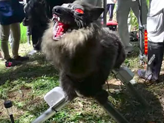 农民用机器人看庄稼 怪兽模样吓哭小伙伴