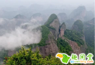 牧童救下小黑蛇，来道人给村民免费治病