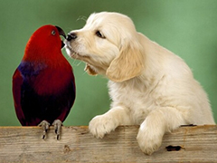 虐死单身汉“春天到了，