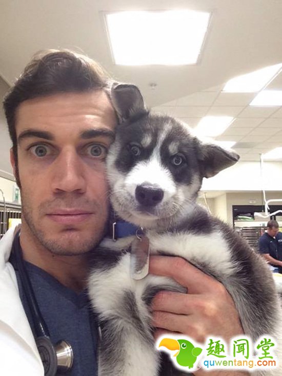 兽医身上不仅会