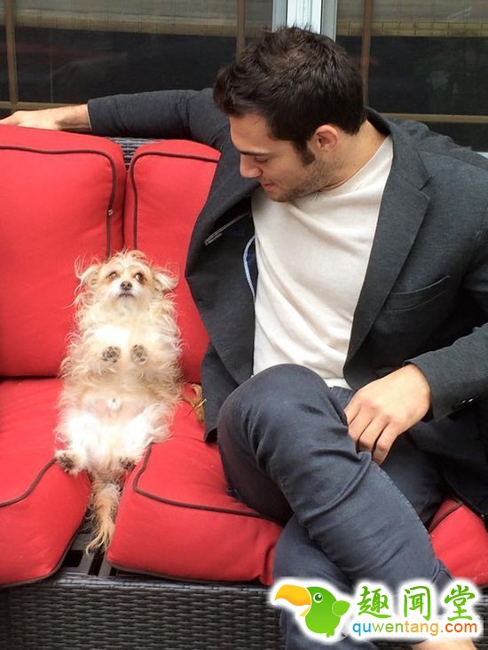 兽医身上不仅会