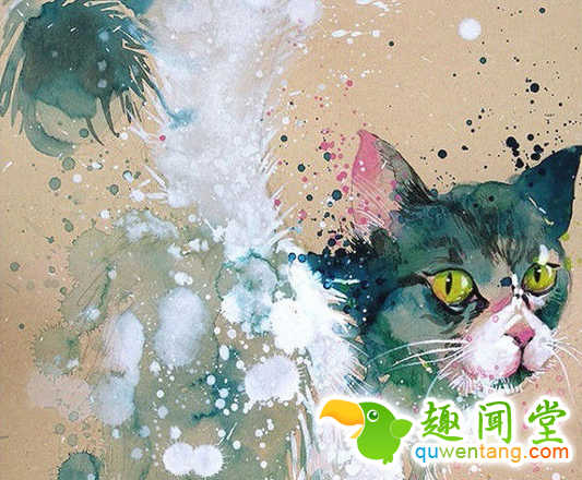 画笔下的水彩动物，感觉要从画中跑出来了~