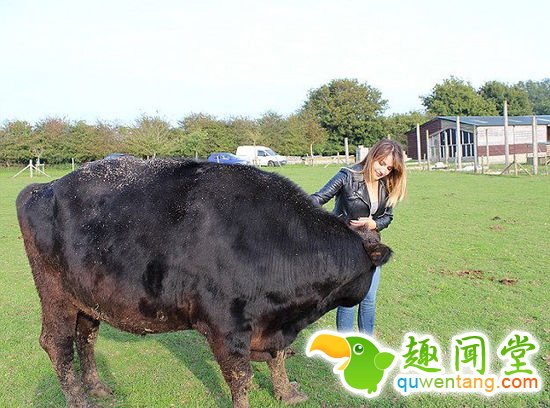 探秘世界上最幸福的动物庇护所 278只动物自由生活(组图)