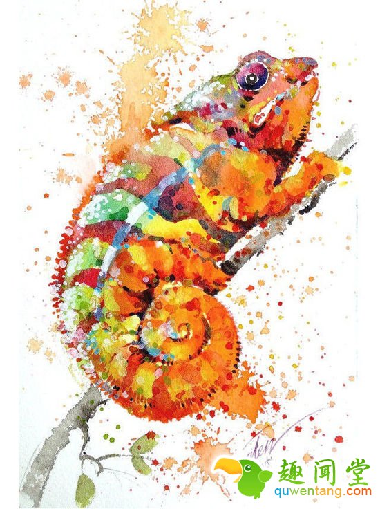 画笔下的水彩动物，感觉要从画中跑出来了~