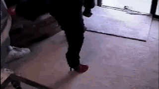 汪星人穿起鞋来一步一步似爪牙，似魔鬼的步伐