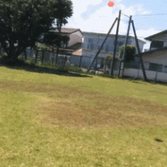 养只会耍赖的肥狗是什么体验，累了一瘫说