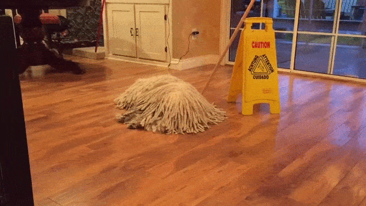 17只史上最会隐身的动物，看看你能找出几只！