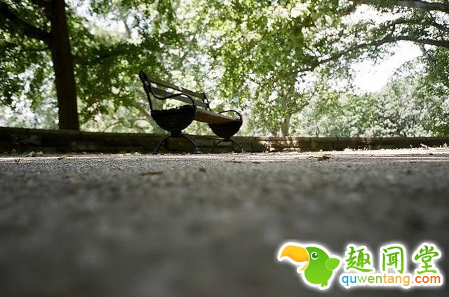 每天的生活都是疲于奔命？换个角度看看这个世界