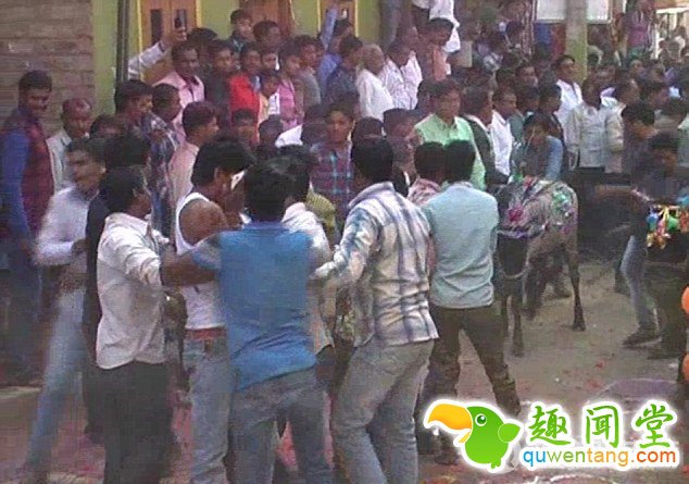 　　每年这种仪式都会引来无数人围观，这些围观的人群还会吆喝、驱赶牛群，以确保每名躺在地上的男子都能被踩到。当地人相信这种仪式能够让祈求者心想事成，让当地繁荣昌盛。