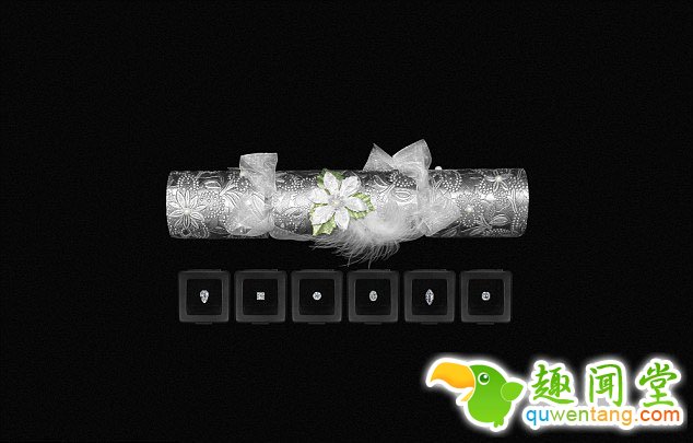 　　该圣诞饼干由饼干之家制作，其中含有由法国著名珠宝品牌“拥抱巴黎”精选的六颗钻石，价值最高的为重3克拉价值240万元的梨型钻石和价值200万元重4克拉的马眼型钻石，最便宜的椭圆型钻石价值也近110万元。这些钻石的精细切割、闪耀和透明度都会令圣诞宴会的宾客惊讶不已。