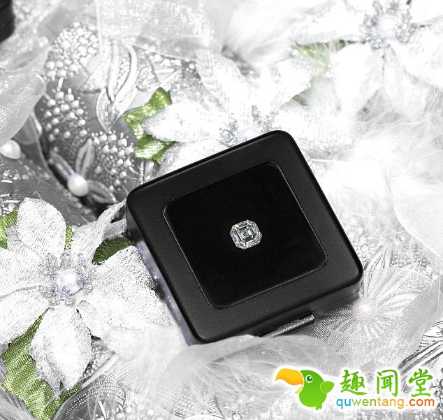 　　如果你想在圣诞宴会上获得这样一颗钻石就赶快奉承一下宴会主人吧。据饼干之家创始人说：“我们曾经尝试过做一些与众不同的饼干，但是从来没有做过如此闪耀的圣诞饼干”。