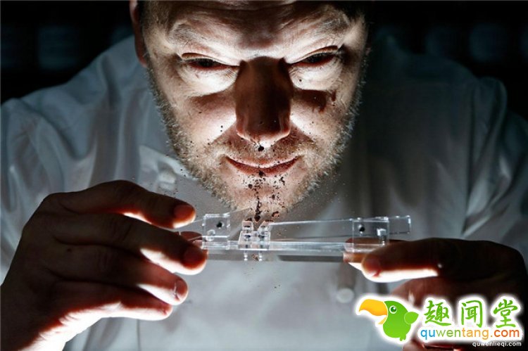 比利时人发明巧克力神器，从鼻孔里吸食，说不会胖