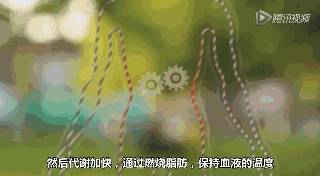 想减肥又懒得动？穿上这个背心，躺着就能瘦！