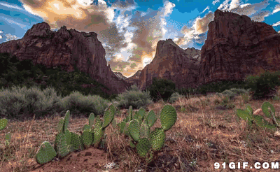 这些让人深信不疑的事情，竟然都是错的…