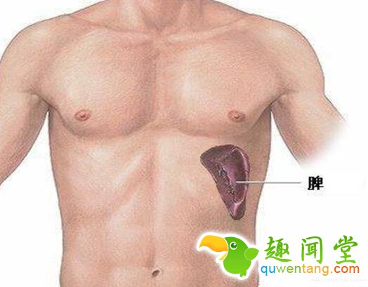 身体有6个“死穴”，伤到它们很危险！