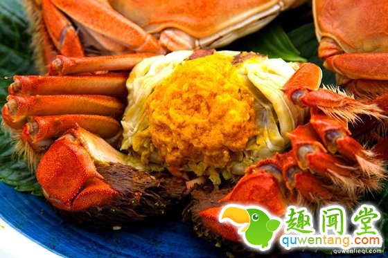 孕妇吃大闸蟹会流产？胡说八道……