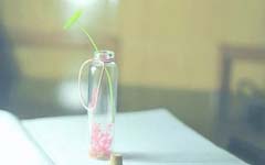 遇见你的纯真岁月