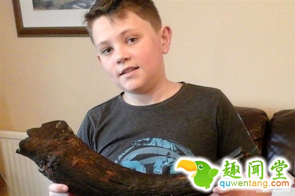 男孩海边拾黑色不明物体：竟是猛犸象象牙化石