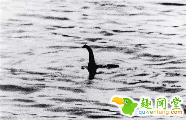 恐龙还活着吗？