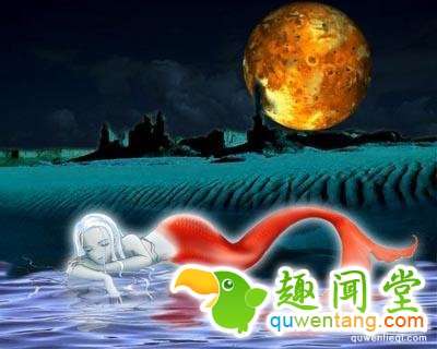 揭露海底美人鱼世界未解之谜