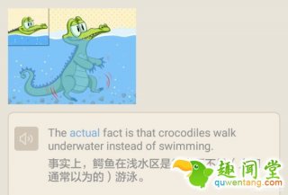 惊呆！鳄鱼在水下不游泳？它们都是站在水