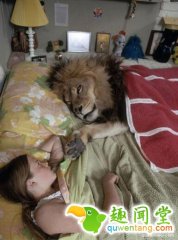女子与雄狮同吃同睡，男友看不下去分手了