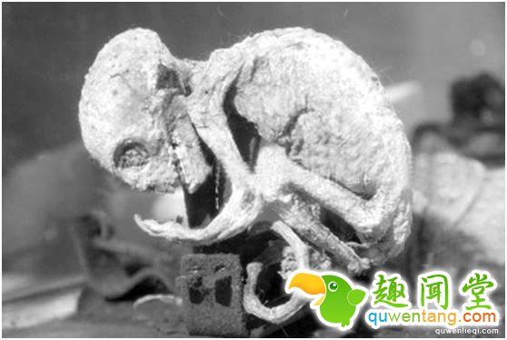 外星人降临地球的8个惊人证据！