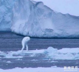 南极洲拍摄到的30公尺高巨型人类大揭秘，