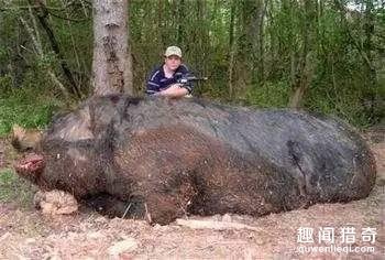 地球上独一无二的67个基因变异的物种！你可能一辈子也没见过