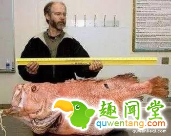 地球上独一无二的67个基因变异的物种！你可能一辈子也没见过