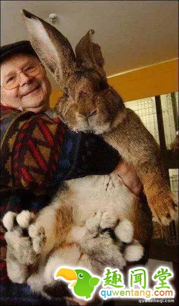 地球上独一无二的67个基因变异的物种！你可能一辈子也没见过