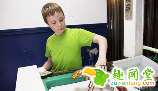 渔民捕获罕见双色龙虾 出现概率仅为1/5000万