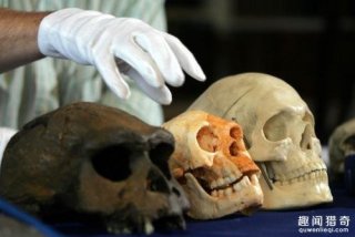 5种真实存在的神话生物，这些你都听说过