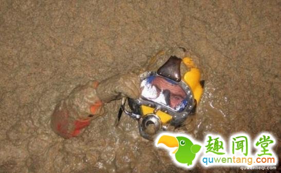 世界十大最奇葩冷门工作，最后一份有人想做吗？