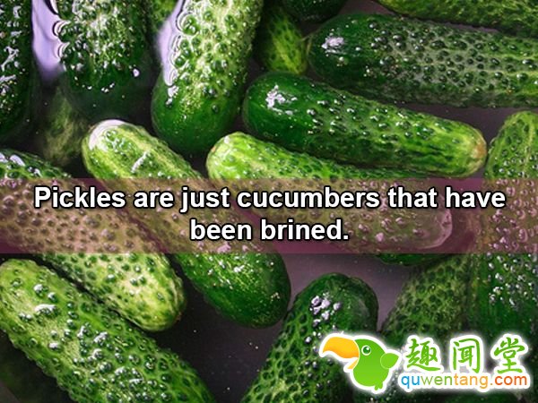 18个会让「你瞬间发现之前都笨笨」的新奇生活小知识！