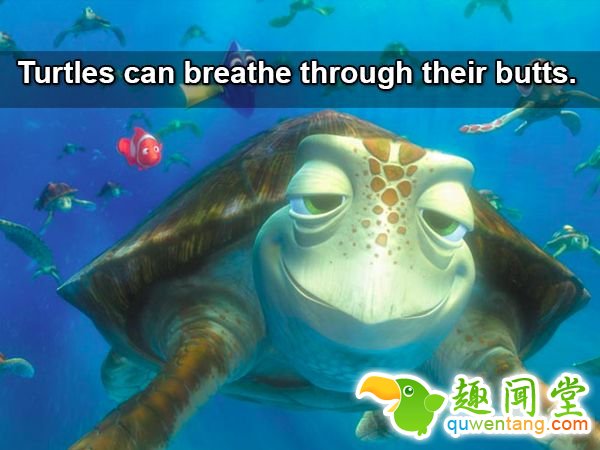 18个会让「你瞬间发现之前都笨笨」的新奇生活小知识！