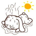 99%的车主没看都后悔了，夏天停车一定要把