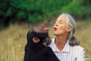 黑猩猩妈咪讲了一个笑话，两只小宝宝听后