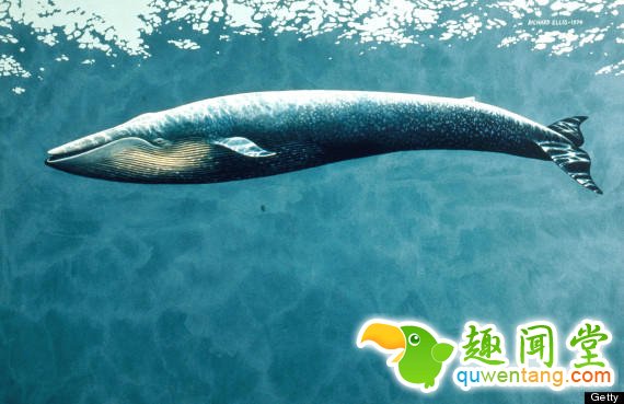 遇到这9件事儿很闹心？科学家告诉你这根本不是事儿！