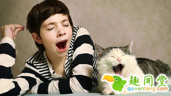 打哈欠为什么会传染呢？