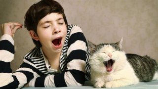 打哈欠为什么会这么容易传染呢？原来是这